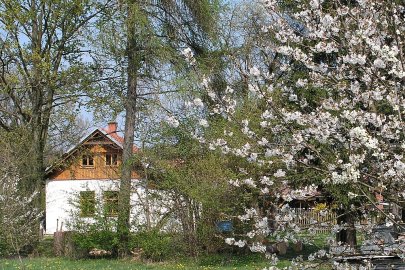 Individu&aacute;ln&iacute; kurzy - v&yacute;roba bubnů