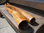 Didgeridoo