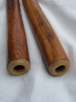 Didgeridoo