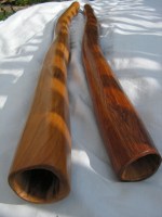 Didgeridoo