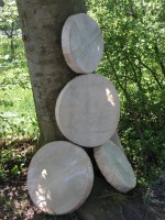 rámový šamanský buben